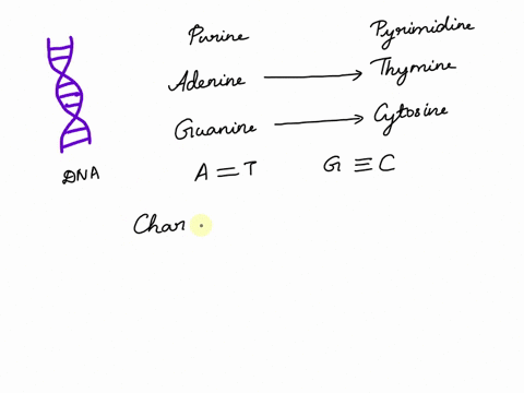 if-22-of-a-dna-sample-is-made-up-of-cytosine-c-what-percentage-of-the-sample-is-made-up-of-adenine-a-65434