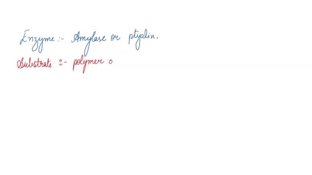 SOLVED In saliva, it breaks up starch molecules in food into smaller