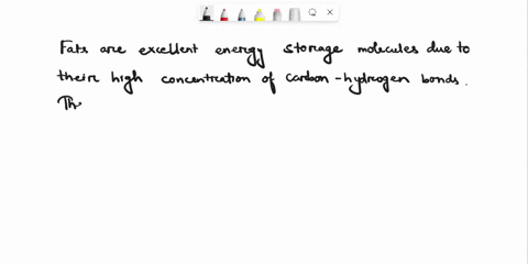 energy-storage-molecules-fats-are-excellent-energy-storage-molecules-because-multiple-choice-they-have-a-relatively-high-ratio-of-energy-storing-co-bonds-they-are-more-difficult-to-hydrolyze-38039