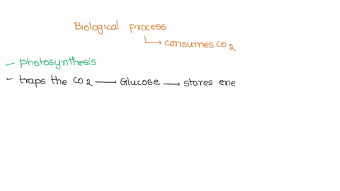 what-is-the-main-biological-process-that-consumes-carbon-dioxide-13317