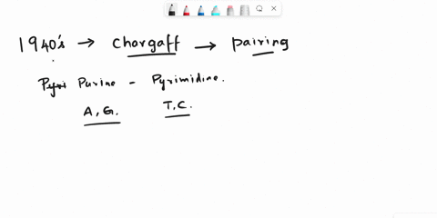 chargaffs-rule-states-that-the-amounts-of-guanine-and-cytosine-are-roughly-the-same-and-the-amounts-of-adenine-and-thymine-are-roughly-the-same-a-in-eukaryotes-only-the-rule-doesnt-apply-to-85546