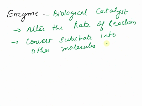 describe-an-enzyme-and-its-functions-in-the-cell-49577