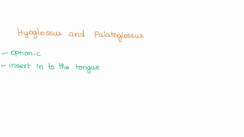 your-answer-is-incorrect-try-again_-what-do-the-hyoglossus-and-palatoglossus-muscles-have-in-common-they-both-insert-into-the-tongue-depress-the-tongue-ad-are-innervated-by-cranial-nerve-xii-07054