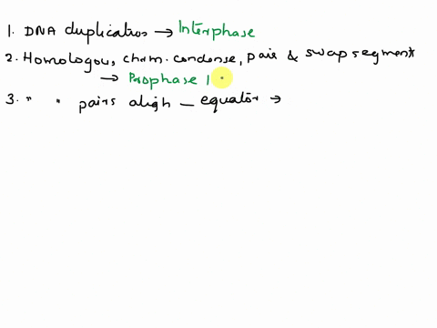 ma-matcn-eacn-term-witn-ine-correct-description-none-are-repeatea-dna-duplication-occurs-in-this-phase-prophase-homologous-chromosomes-condense-pair-up-and-swap-segments-telophase-homologous-31434