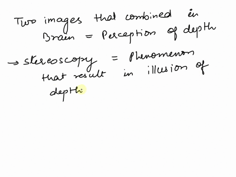 coordination-of-two-images-by-the-brain-as-one-3-d-image-which-action-18277