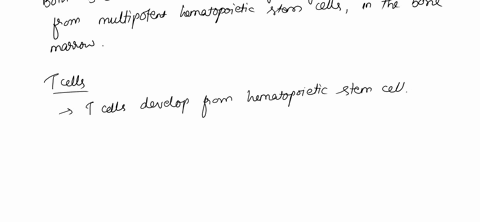 immunology-5-what-are-the-significant-common-trends-or-features-when-comparing-the-overall-development-of-t-cells-and-b-cells-6-mature-b-cells-unlike-t-cells-are-not-subject-to-selection-pro-02314