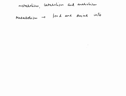 describe-metabolism-catabolism-and-anabolism-and-explain-their-role-in-the-body-40164
