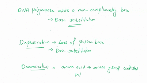 label-each-spontaneous-mutation-mulagem-causing-base-subtitution-additiondeletion-of-trinucleotide-repeats-frameshift-breaks-dna-dna-polymerase-adds-non-complementary-base-during-dna-replica-61398