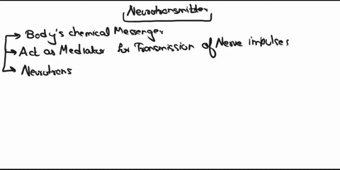 jeoaa-bana-conolled-by-uamooth-muieies-b-ld4fna-onteric-nefvous-8ni-antlmn-nou-adtemn-jutonomic-nervogssyster-somatie-motor-division-neurotransmitters-releared-fromtni-jon-terminals-svnapse-57088