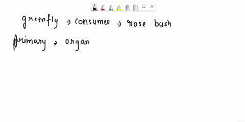 biology-help-please-x-what-tcrm-describes-the-grcenfly-in-this-food-chain-a-rose-bush-contains-10000-kjmiycar-of-energy-and-only-10-of-this-energy-is-passcd-on-at-cach-stagc-of-the-food-chai-64339