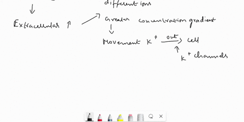 in-regards-to-membrane-potential-how-does-increasing-outside-potassium-ion-concentration-affect-membrane-potential-how-does-decreasing-outside-sodium-ion-concentration-affect-membrane-potent-66032