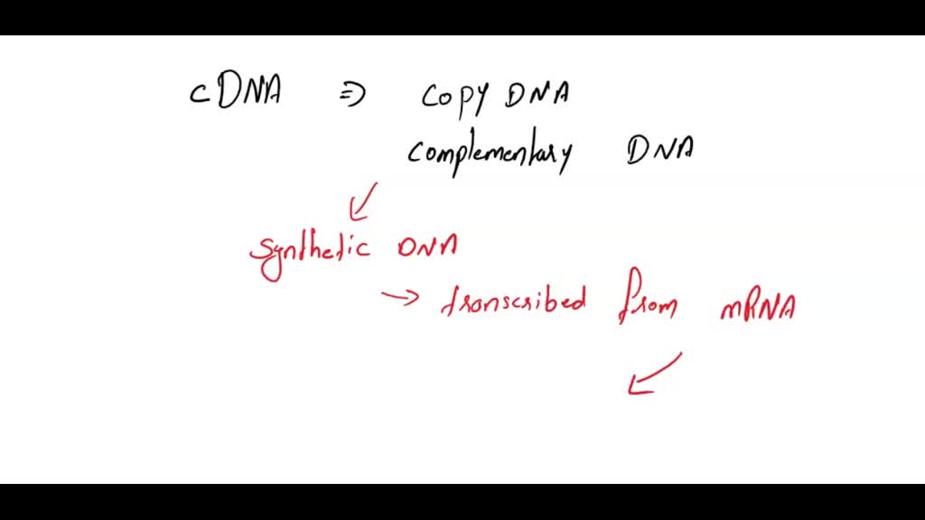 SOLVED What is cDNA? How is it made? Why is it necessary for cloning a