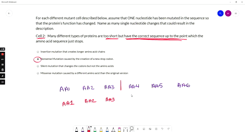 for-each-different-mutant-cell-described-below-assume-that-one-nucleotide-has-been-mutated-in-the-sequence-so-that-the-proteins-function-has-changed-name-as-many-single-nucleotide-changes-th-18848