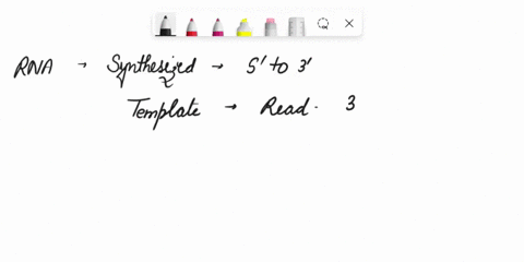 part-2-praclce-exercises-here-dna-strand-5ccc-gtg-gca-ttt-aaa-gtg-3-what-the-complementary-mrna-strand-label-the-and-ends-here-dna-strand-caa-tgt-gca-gcg-aaa-ctc-5-what-the-complementary-mrn-40958
