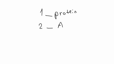 match-each-molecule-with-its-most-suitable-description-________chain-of-amino-acids-________energy-c-67649