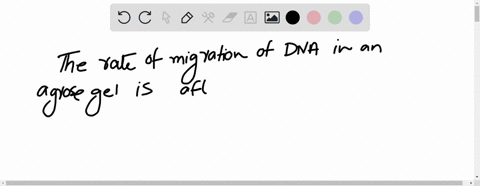 the-rate-of-migration-of-dna-in-an-agarose-gel-is-affected-by-all-except-a-the-size-of-the-dna-fragments-b-the-strength-of-the-electric-field-c-the-negative-charge-of-the-dna-d-the-concentra-24566