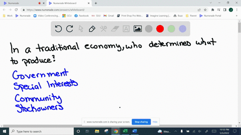 in-a-traditional-economy-who-determines-what-to-produce-a-government-b-special-interests-c-community-d-stockowners-08504