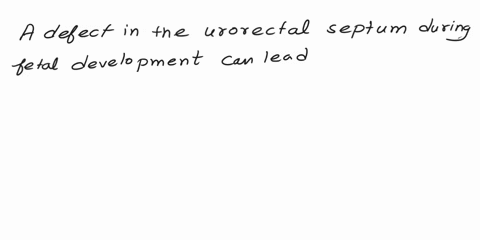a-female-fetus-has-a-defect-in-the-urorectal-seprum-this-most-commonly-causes-a-fistula-connecting-the-rectum-to-the-outerus-nagina-ourinary-bladder-urethra-27386