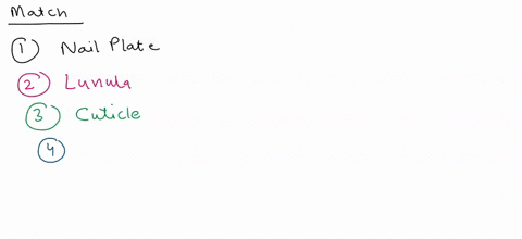 match-each-key-tern-t0-the-appropriate-description-make-certain-each-sentence-is-complele-before-submilting-your-answer-reset-help-cuticle-main-porlion-of-ihe-nail-ceruminous-gland-whilish-a-57408