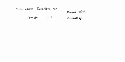 what-functional-groups-are-found-on-side-chain-not-the-amino-or-carboxyl-group-common-to-all-amino-acids-for-the-amino-acid-shown-below-a-amide-b-amine-c-alcohol-d-carboxylic-acid-95668