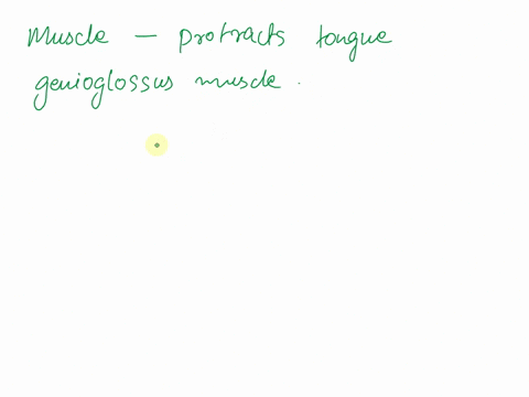 which-muscle-protracts-the-tongue-16152