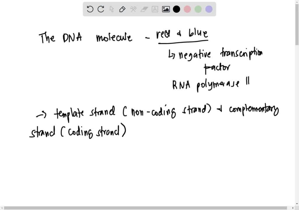 41-phet-gene-expression-basics-worksheet-worksheet-database