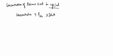 a-dna-plasmid-has-an-axco-of-1-6-1-cm-path-lengrh-and-is-3000-bp-in-size-1-whar-is-the-concentration-of-the-plasmid-dna-in-ngul-a-8-32-64-80-100-128-e-2-prepare-50-ul-of-this-plasmnid-dna-s0-09614