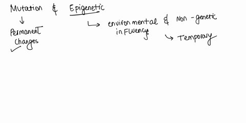 question-1-3-points-we-have-been-learning-about-mutation-of-genes-vs-epigenetic-modification-e-in-class-choose-all-correct-statements-ot-genes-mutation-refers-to-permanent-change-in-dna-sequ-74657