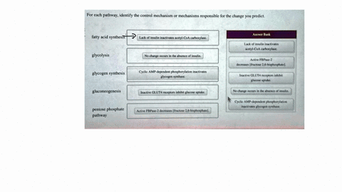 incorrect-answer-choices-in-photo-for-each-pathway-identify-the-control-mechanism-or-mechanisms-responsible-for-the-change-you-predict-fatty-acid-synthesis-lack-of-insulin-inactivates-acetyl-83031