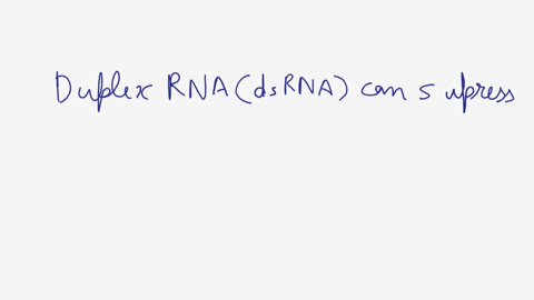 identify-the-true-statements-about-rna-interference-select-all-of-the-true-statements-mirnas-are-short-duplexes-approximately-21-nucleotides-long-mirnas-suppress-gene-expression-by-interferi-93845