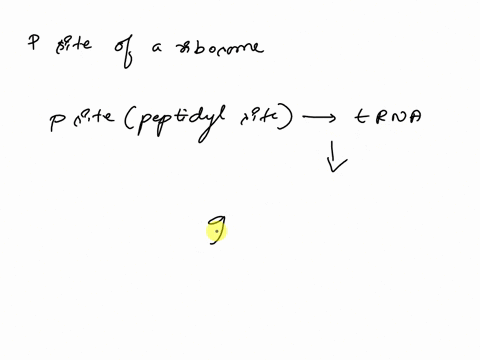 14-0i-15-part-a-shown-below-is-a-ribosome-in-ihe-process-of-translation-the-p-site-of-a-auosoqu-next-amino-acid-to-be-added-t0-polypeptide-growing-polypeptide-vn8-vnjw-codols-catalyzes-the-a-85724