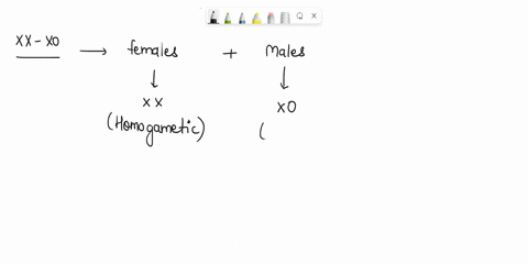 in-xo-type-of-sex-determination-a-females-produce-two-types-of-gametes-b-males-produce-two-types-of-gametes-c-females-produce-gametes-with-y-chromosome-d-males-produce-gametes-with-y-chromos-49614