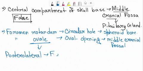q3-mark-true-or-false-of-the-following-statement-1-the-pituitary-gland-located-in-the-posterior-cranial-fossa-2-the-foramen-rotundum-lies-anteromedial-t0-the-foramen-ovale-3-the-foramen-magn-22035