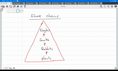 give-reasons-for-the-energy-flow-along-a-food-chainamd-the-number-of-individuals-at-each-levelgradually-decreases-as-we-go-higher-up-21096