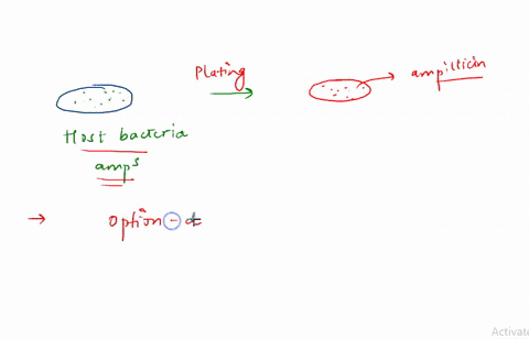which-of-the-following-statements-about-fungi-is-false-select-one-yeasts-are-unicellular-b-all-of-the-options-are-true-fungi-are-eukaryotes-d-molds-are-multicellular-fungi-have-a-cell-wall-f-50435