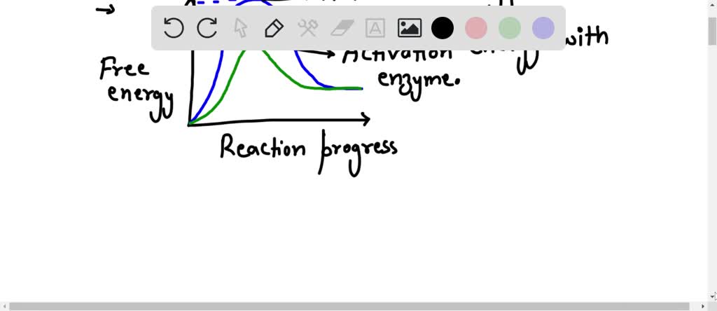 SOLVED: Explain why a graph of enzyme activity vs. [substrate] for a ...