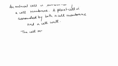 check-your-understanding-what-did-you-include-in-your-answer-a-cell-membrane-seen-in-plant-and-animal-cells-is-selectively-permeable-and-made-of-a-phospholipid-bilayer-the-cell-membrane-and-51994