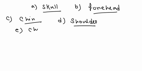 just-number-21-pleasename-the-regions-of-the-body-in-the-illustration-to-the-right-12the-term-arm-in-anatomy-refers-to-the-region-abetween-the-hand-and-clbow-bbetween-the-elbow-and-shoulder-32781