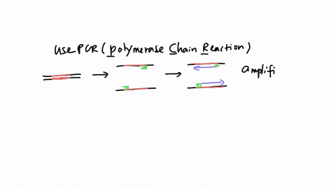 y-your-book-you-read-a-story-about-the-dna-editing-technique-called-crispr-you-also-read-bout-another-technique-called-pcr-polymerase-chain-reaction-how-do-scientists-use-pcr-click-er-tep-a-chake-to-a