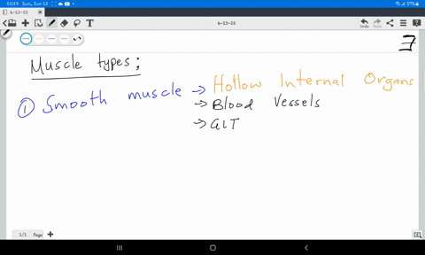 name-the-three-kinds-of-muscles-in-the-human-body-giving-one-example-of-each-73468