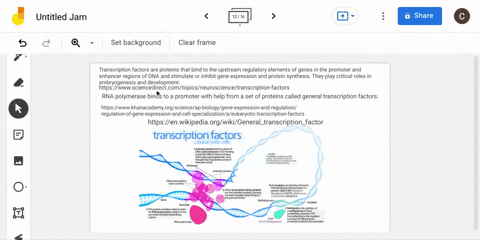 what-is-the-purpose-of-transcription-factors-group-of-answer-choices-transcription-factors-regulate-nuclear-export-of-mrna-molecules-transcription-factors-mediate-binding-of-rna-polymerase-t-10188