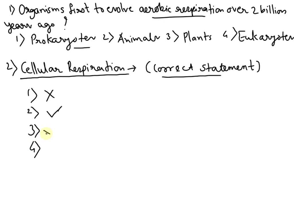 SOLVED Which type of organism was the first to evolve aerobic