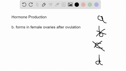 which-of-the-following-produces-the-male-sex-hormones-a-seminal-glands-b-corpus-luteum-c-developing-59086