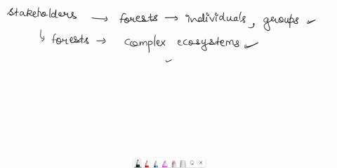 what-are-the-stakeholders-and-who-are-the-main-stakeholders-in-relation-to-forest-84267