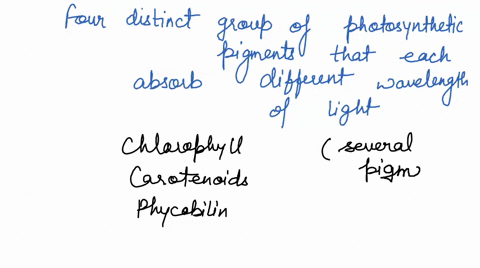 there-are-four-distinct-groups-of-photosynthetic-pigments-that-each-absorb-different-wavelengths-of-light-what-are-they-b-0-84481
