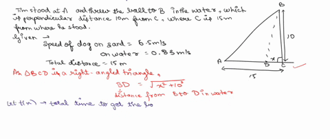 in-the-article-do-dogs-know-calculus-the-author-timothy-pennings-explained-how-he-noticed-that-when-he-threw-a-ball-diagonally-into-lake-michigan-along-a-straight-shoreline-his-dog-elvis-see-09995