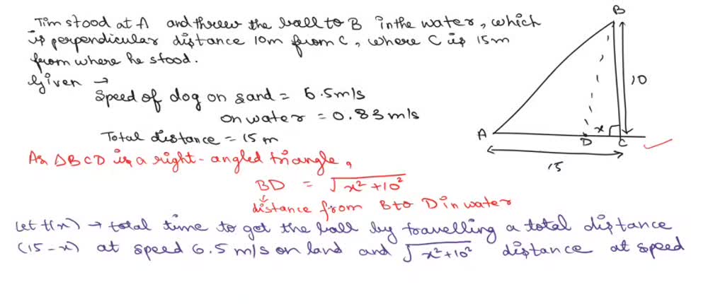 Do Dogs Know The Time