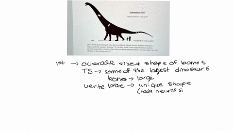 can-someone-help-me-with-this-im-having-a-hard-time-with-it-how-did-the-paleontologists-who-discovered-these-4-bones-discern-that-they-belong-to-a-titanosauriform-sauropod-dinosaur-or-in-oth-84463