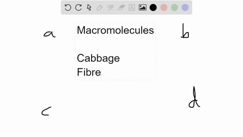 delicious-time-to-make-a-hypothesis-we-are-curious-about-alices-cabbage-salad-what-type-of-macromolecules-do-you-hypothesize-to-primarily-find-in-alices-salad-a-simple-carbohydrates-b-comple-41498