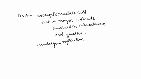 during-the-process-of-replication-a-molecule-of-dna-unzips-forming-two-single-strands-what-makes-up-each-individual-strand-of-dna-90388